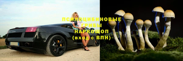 spice Россошь